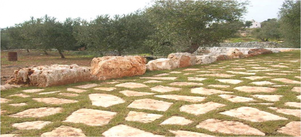 Pietra di Trani gigante posa a verde