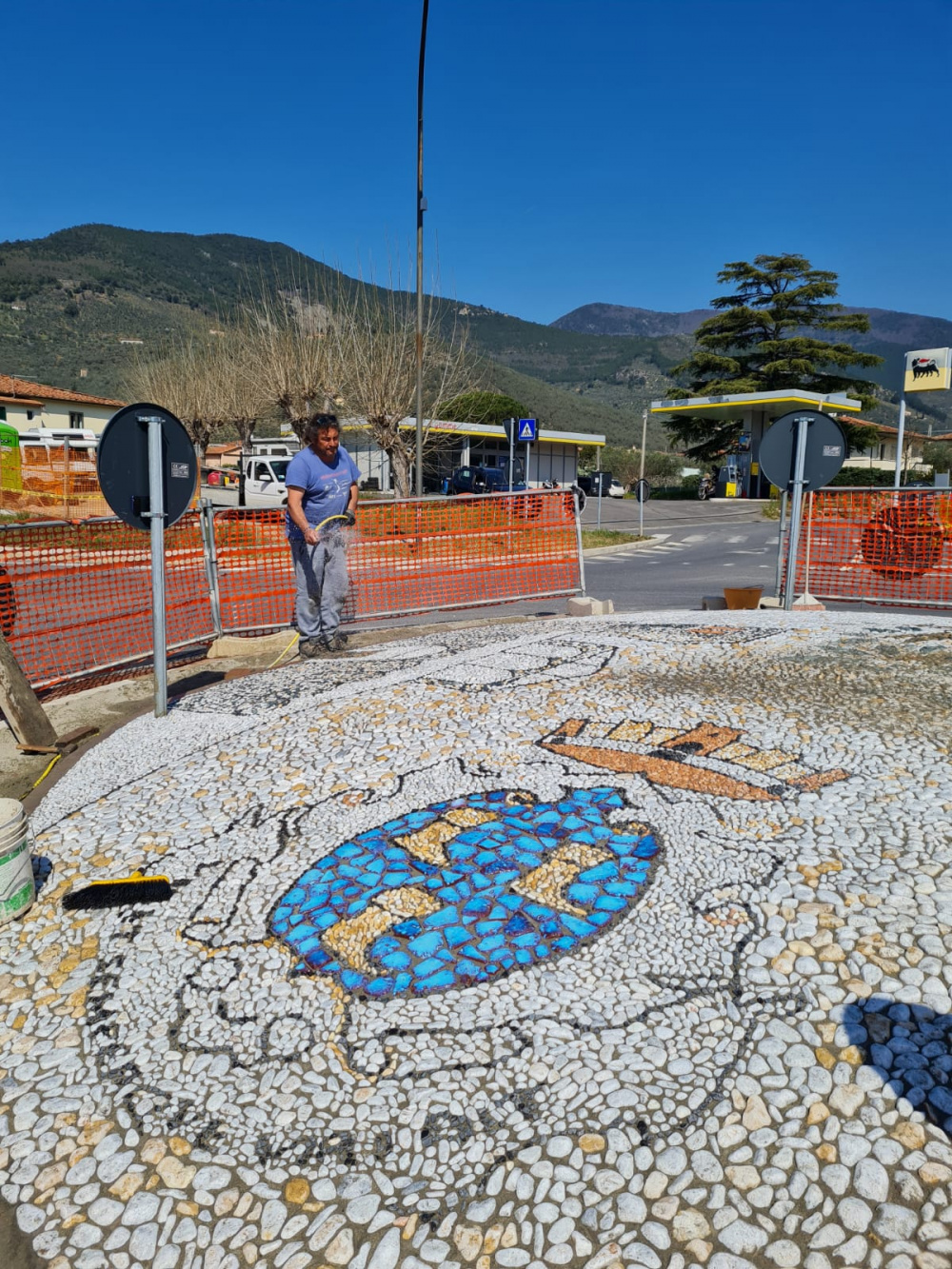 Stemma rotatoria comune Calci Pisa